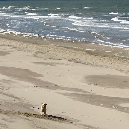 Natur Pur, O4 Neues Ferienhaus Natureingebunden, Familien- Und Hundefreundlich Eingezaeunt Callantsoog Exterior photo