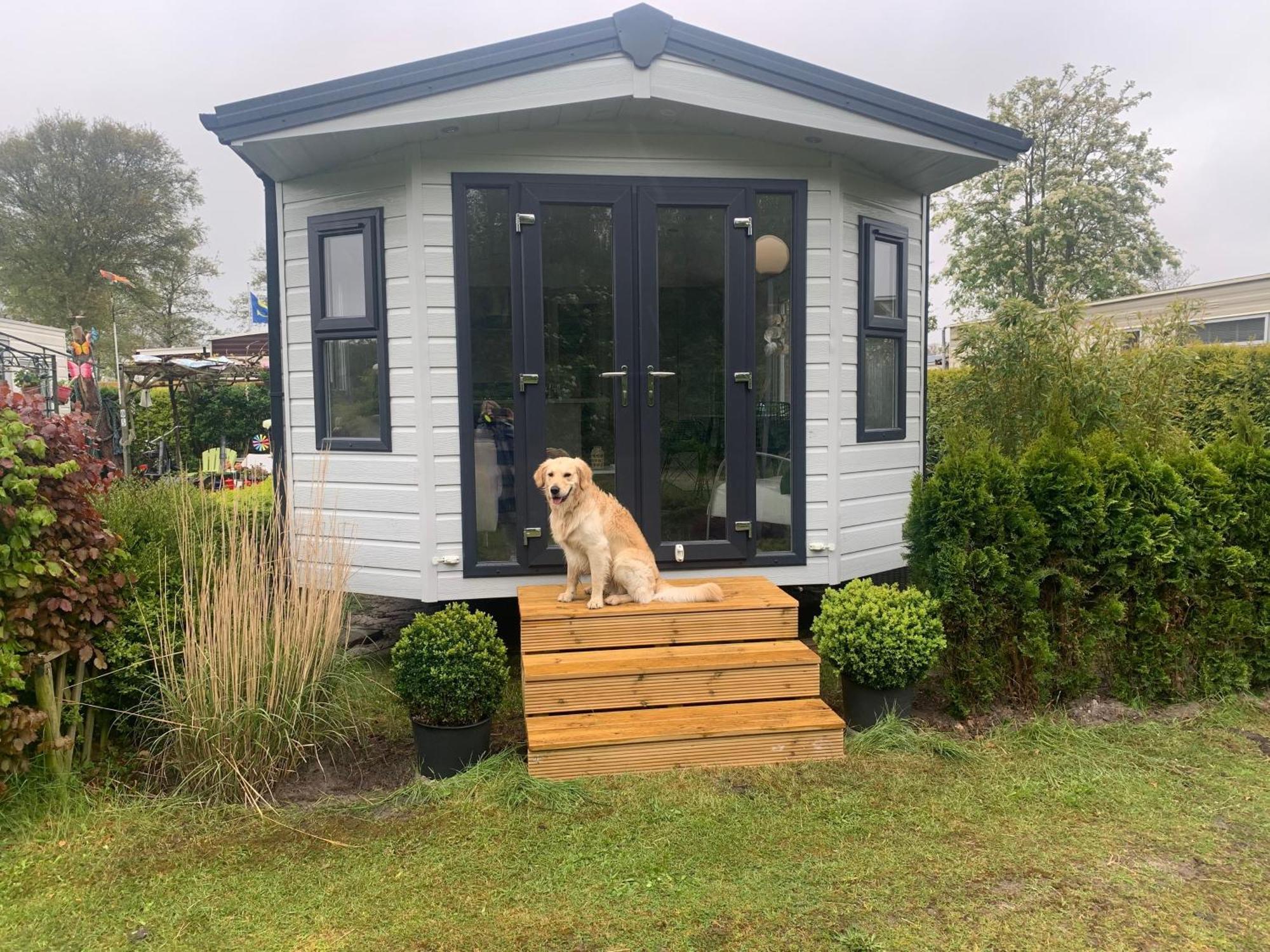 Natur Pur, O4 Neues Ferienhaus Natureingebunden, Familien- Und Hundefreundlich Eingezaeunt Callantsoog Exterior photo